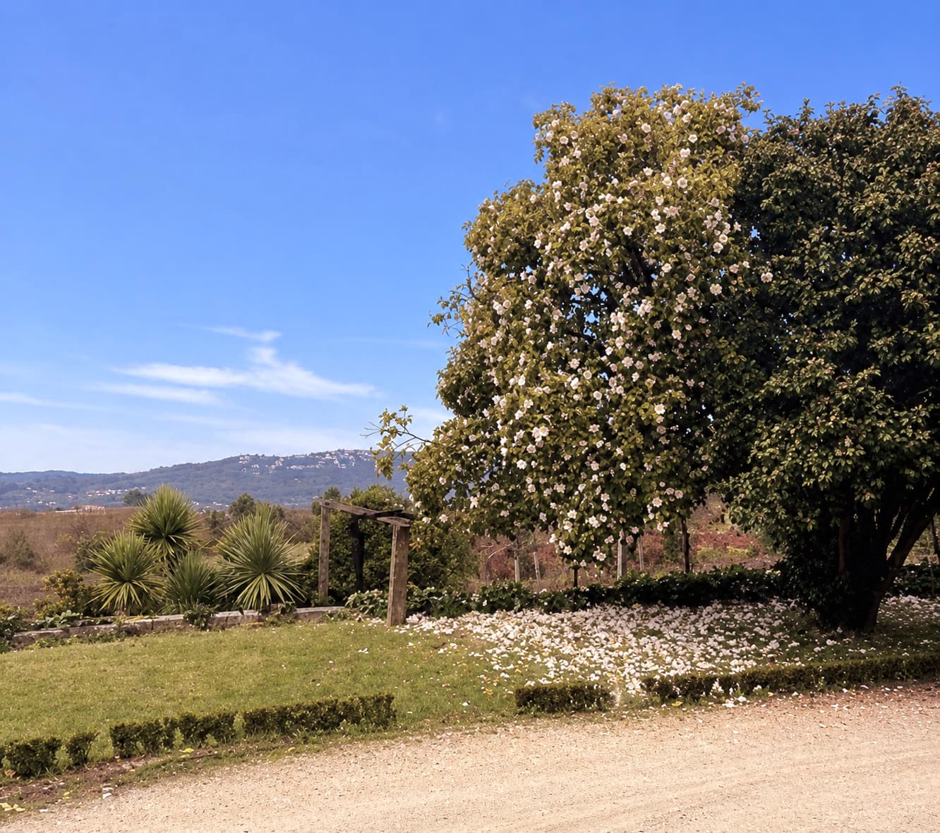 Quinta da Casa do Casal